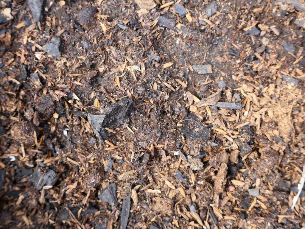 Kuvassa on biohiilellä parannettua kasvualustaa.