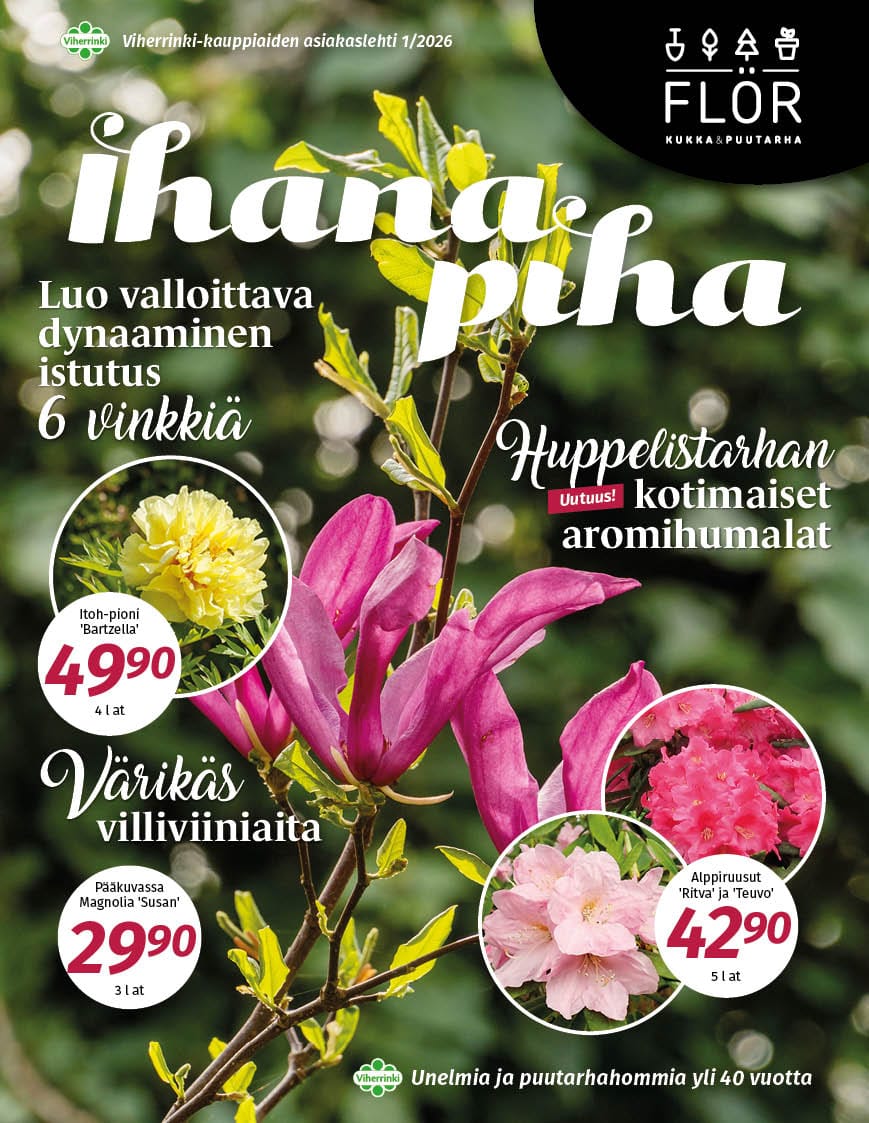 Ihana Piha 2026 kevät, Flör