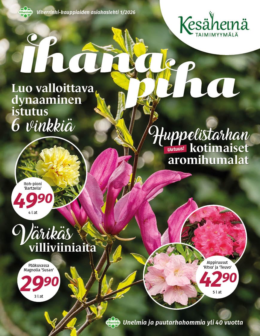 Ihana Piha 2026 kevät, Taimimyymälä Kesäheinä