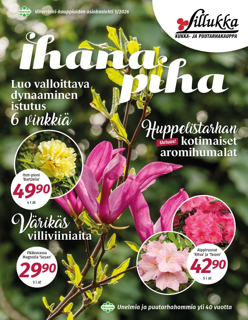 Ihana Piha 2026 kevät, Kukka- ja puutarhakauppa Lillukka