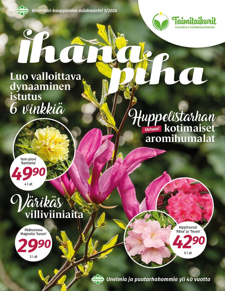 Ihana Piha 2026 kevät, Taimitaikurit