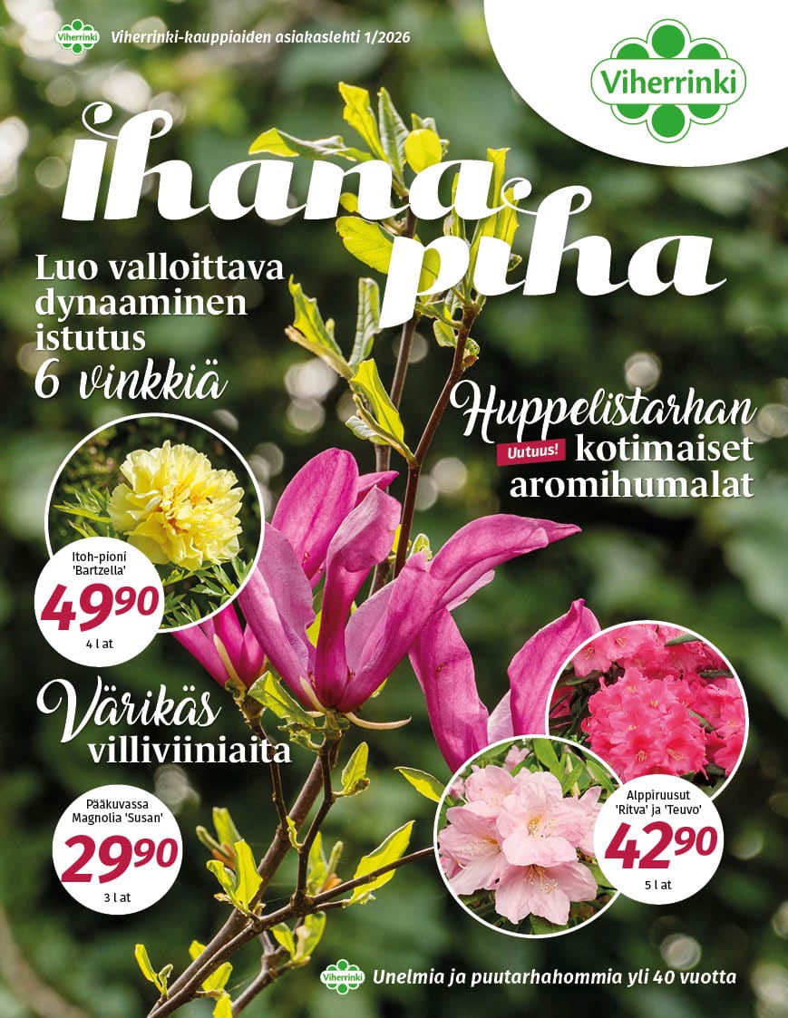 Ihana Piha 2026 kevät, Viherrinki