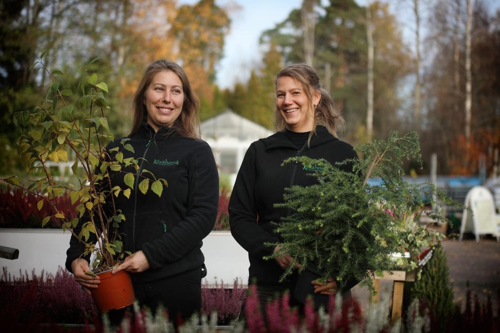Taimimyymälä Kesäheinä Oy